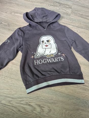 Sweat à capuche Harry Potter 