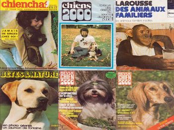 Lot magazines animaux anciens