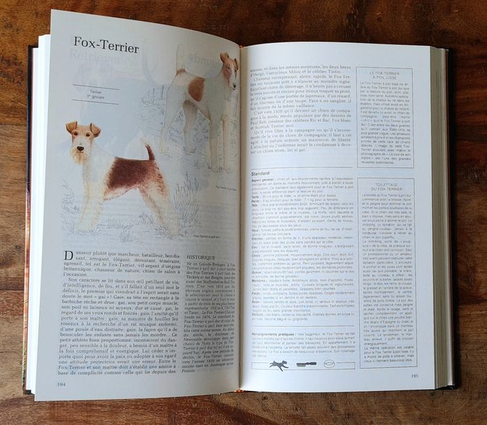 Guide Des Chiens, Sélection Du Reader's Digest - photo numéro 5