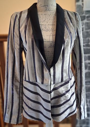 Veste en velours argentée et rayée
