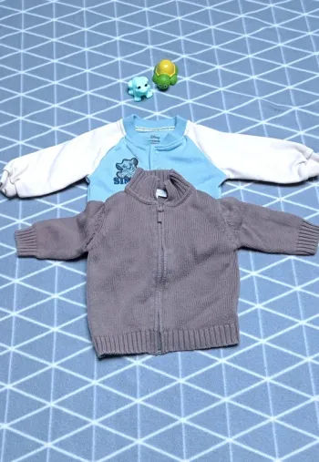 🦁 Lot 2 gilets 9 mois