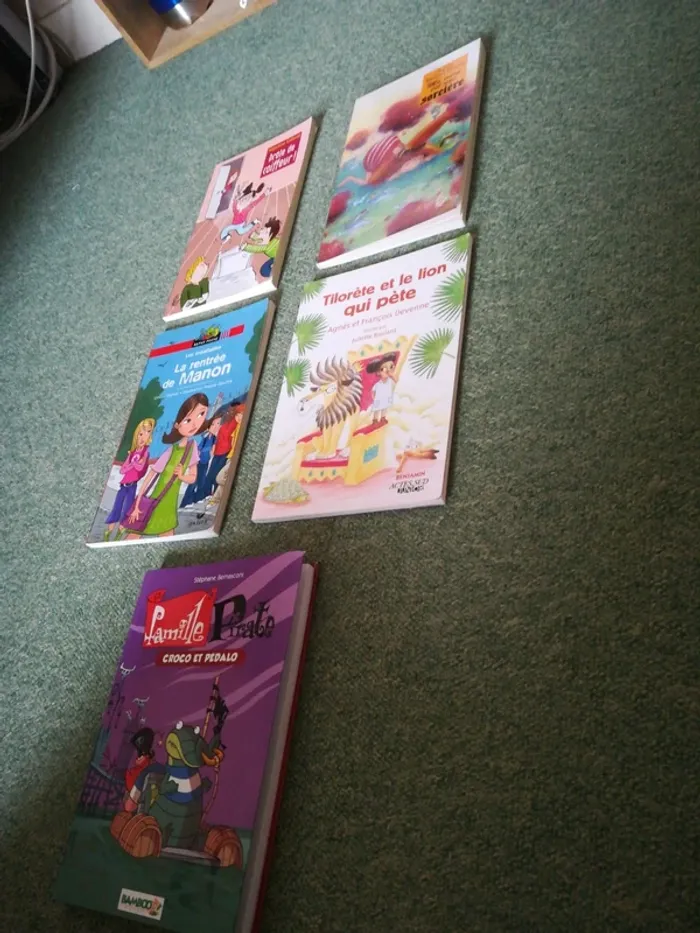 Lot de 5 romans édition Lire c'est partir, Actes Sud junior, Ratus poche,Bamboo - photo numéro 20