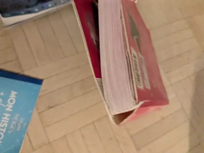 Lot livres Disney - photo numéro 8