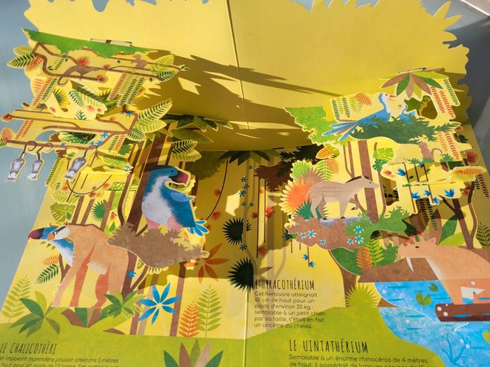 Superbe livre pop-up Dessus/Dessous Dinosaures et animaux préhistoriques - photo numéro 10