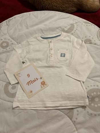 t shirt