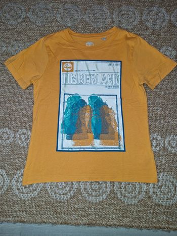Tee-shirt Timberland 10 ans