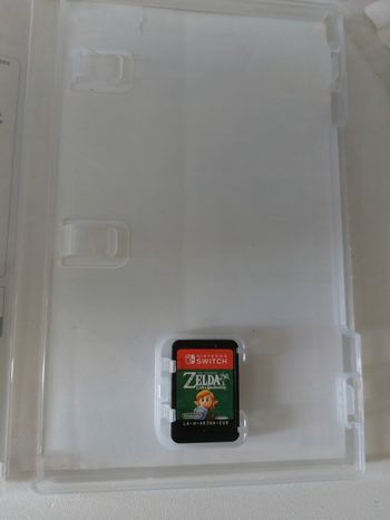 Link's awakening
