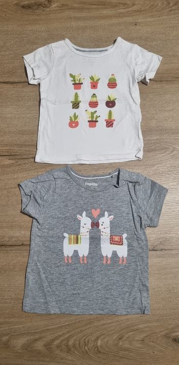 Lot t-shirts MC 12-18 mois 🌵