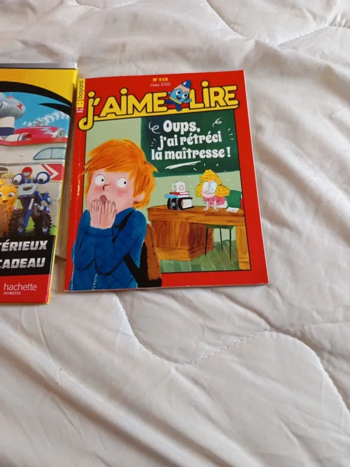 2 livres enfants - photo numéro 2