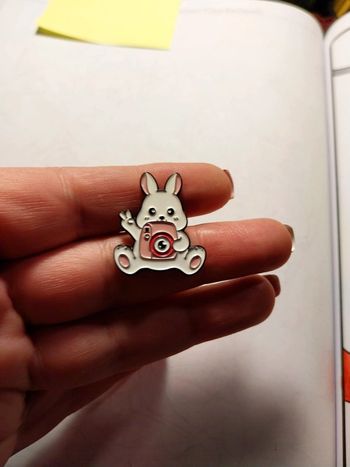 Pins lapin