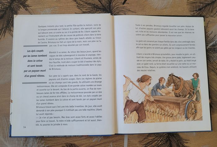 Au temps des gaulois Françoise Lebrun, Ginette Hoffmann (Illustrations) - photo numéro 4