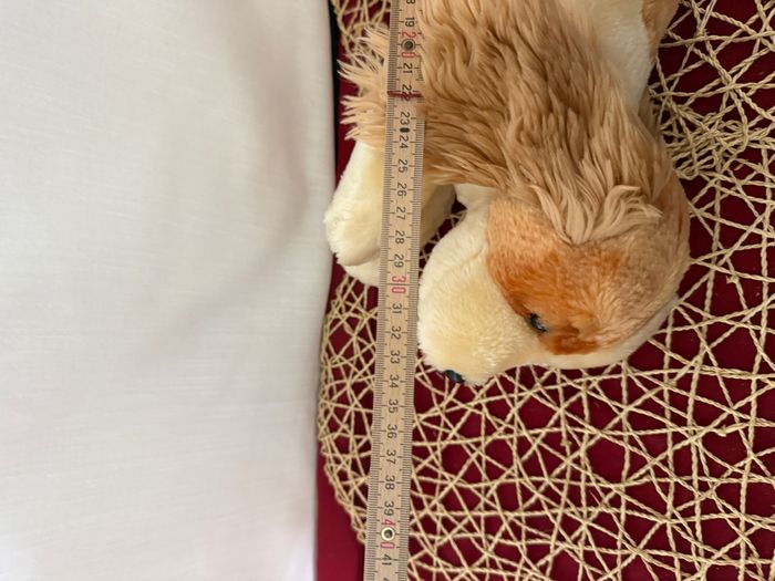 doudou chien - photo numéro 6