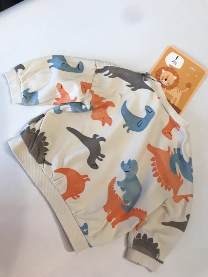 Pull dinosaure - photo numéro 2