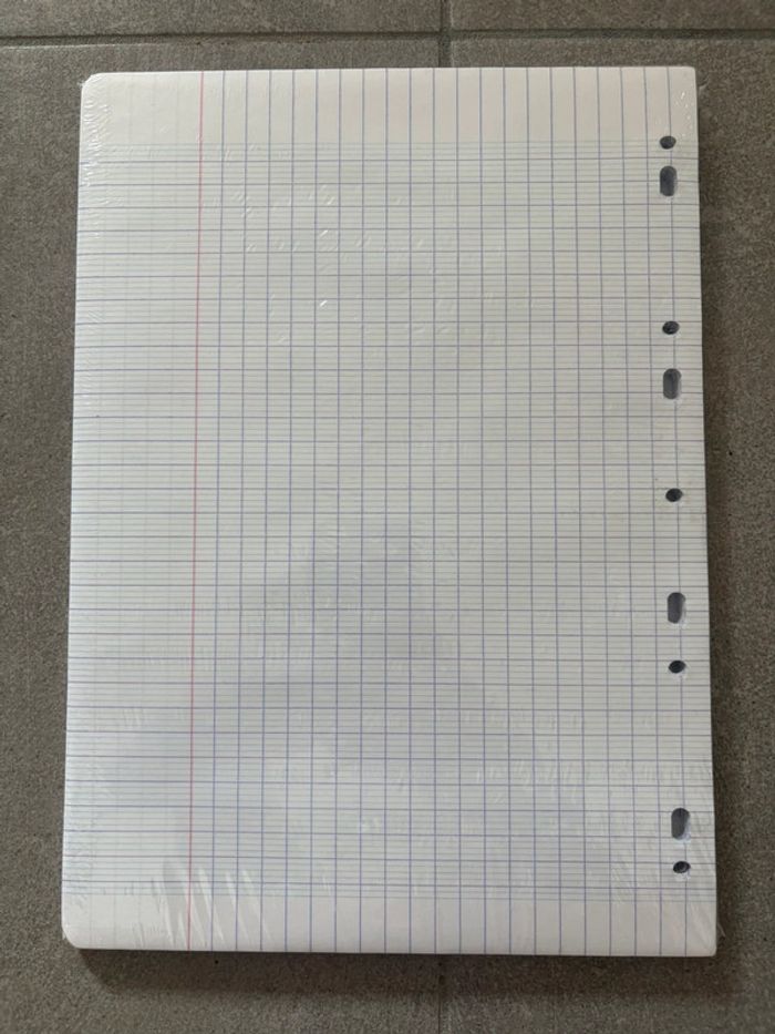 Paquet neuf de 200 feuilles 21X29,7 grands carreaux - photo numéro 2