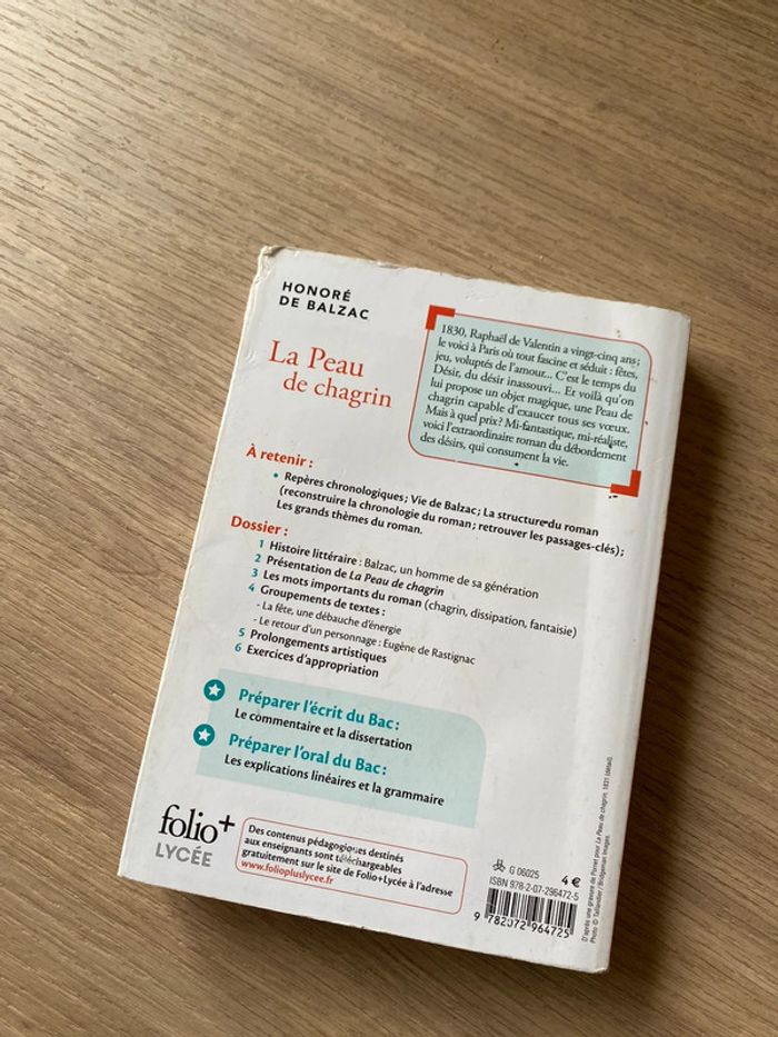 Roman la peau de chagrin - photo numéro 3