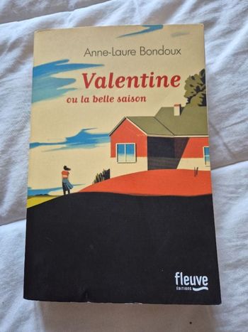 Livre titre Valentine ou la belle saison