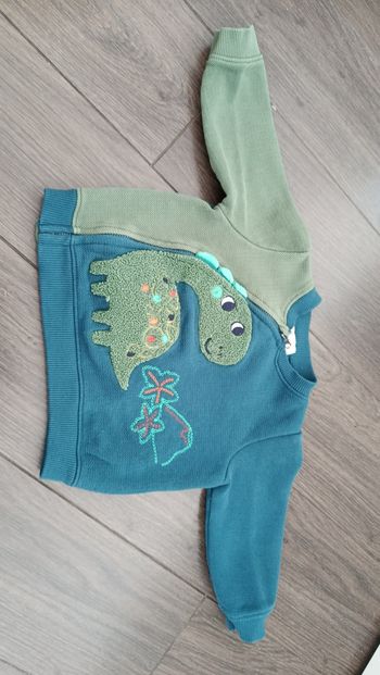 Gilet dinausore 