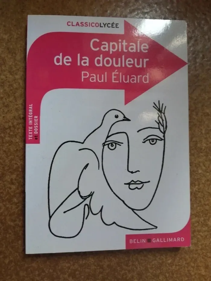 Capitale de la douleur