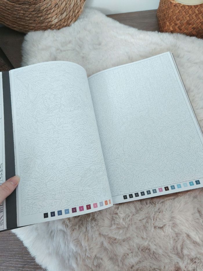 300 coloriages - photo numéro 5