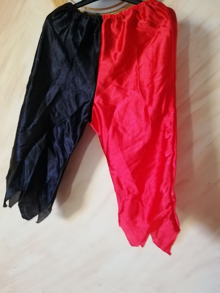 Pantalon déguisement - photo numéro 2