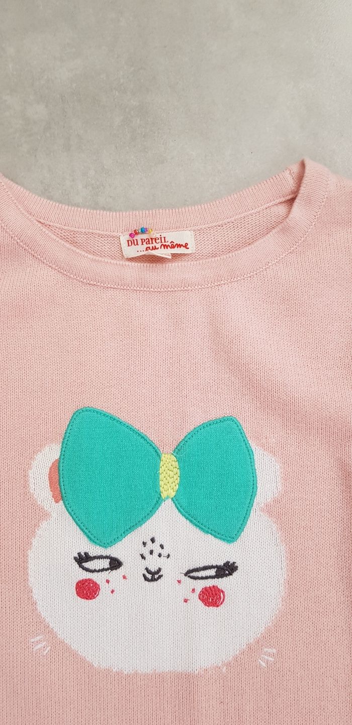 Pull du pareil au même 10 ans - photo numéro 2