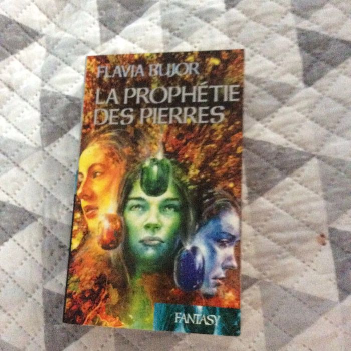 #La prophétie des pierres Flavia Bujor