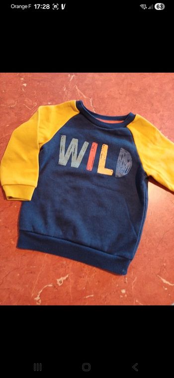 Sweat garçon taille 24 mois