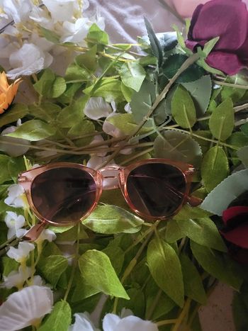 Lunette de soleil femme