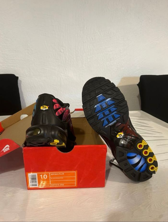 TN Summers - photo numéro 2