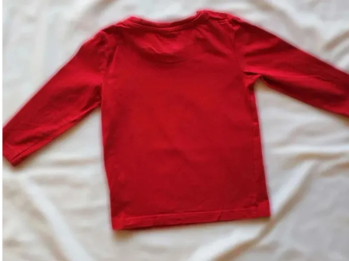 Tee shirt manches longues 2 ans - photo numéro 2