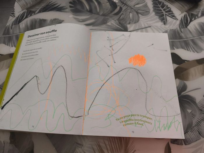 Livre avec CD calme et attentif comme une grenouille - photo numéro 6