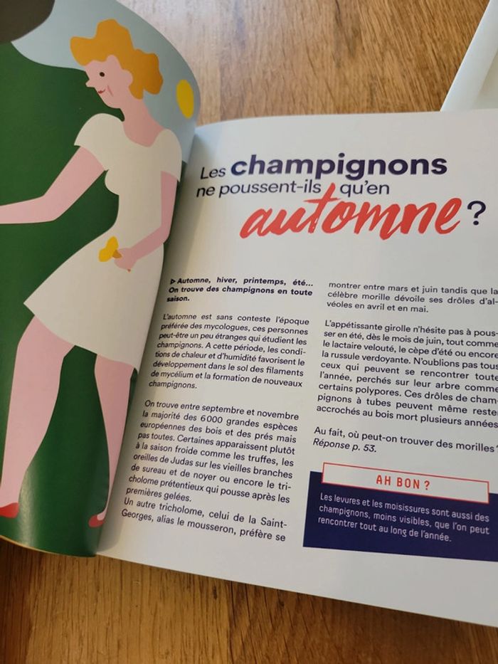 La forêt qui se mange ou pas. - photo numéro 4