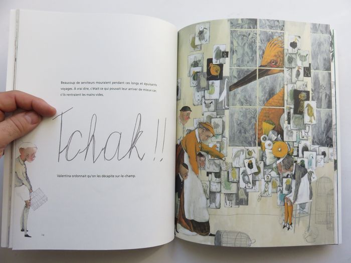 Album 7 à 11 ans : La volière dorée. (Anna Castagnoli - L'école des loisirs) - photo numéro 10