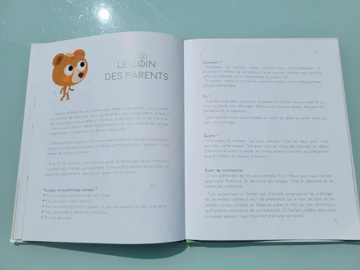 🐻 Anémone l'oursonne est en colère 😠 Petit Zen - photo numéro 10