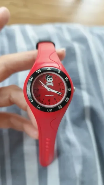 Montre geonaute