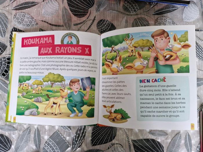 Livre enfant - photo numéro 3