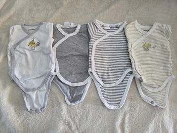 Lot 4 bodies 