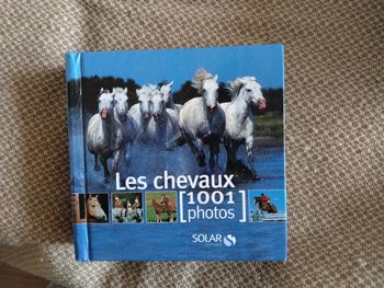 Livre Les Chevaux [1001 photos]