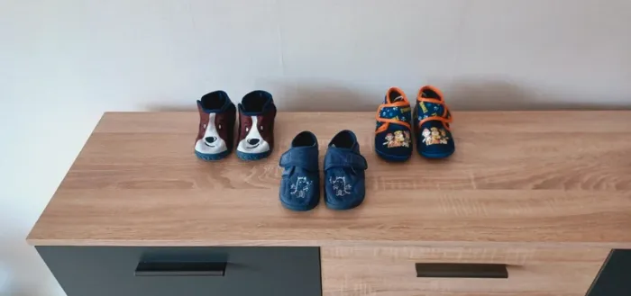 Paire de chaussons motif dinosaures garçon taille 24