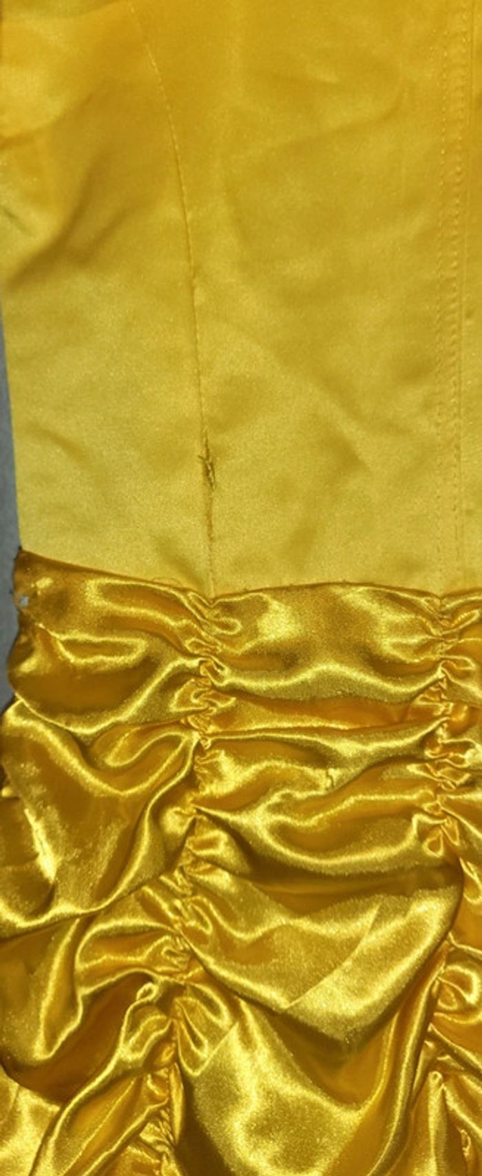 Déguisement "Belle" - photo numéro 2
