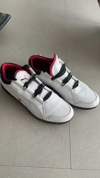 Basket puma