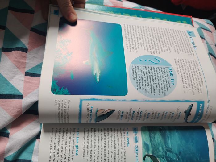 Le sais tu - photo numéro 6