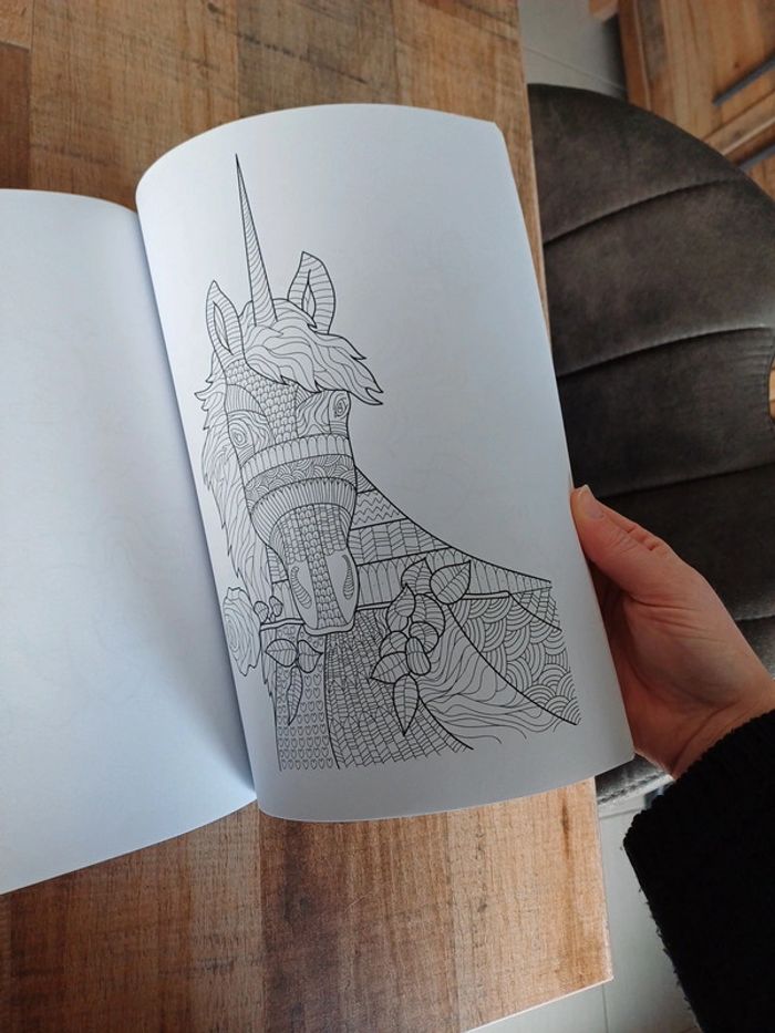 Libre de coloriage Licorne mandala et autres. - photo numéro 10