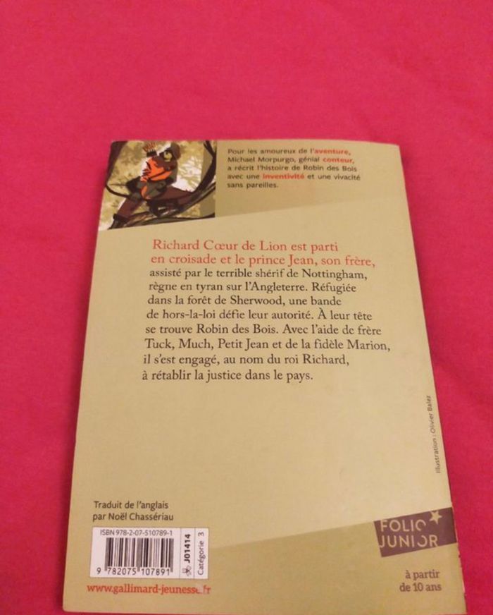 Livre robin des bois - photo numéro 3