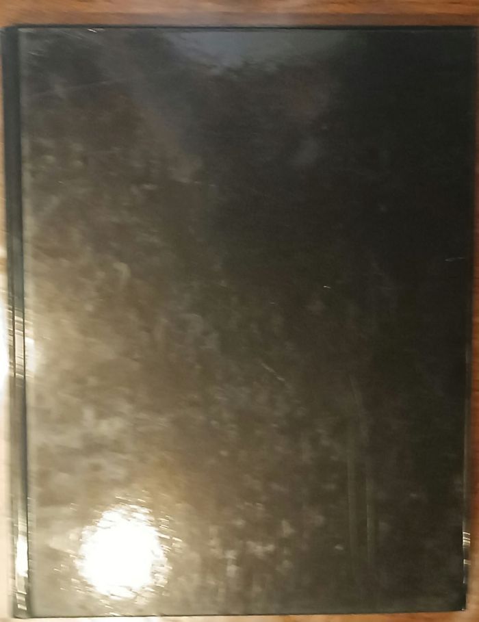 Naissance d'une nation de nos origines à 957 illustré destockage - photo numéro 2