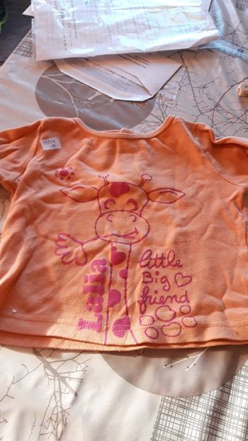 Tee shirt ml 12 mois