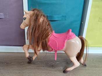 Cheval