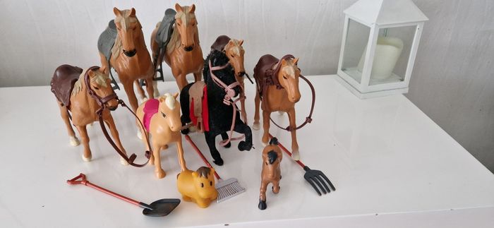 Lot de chevaux