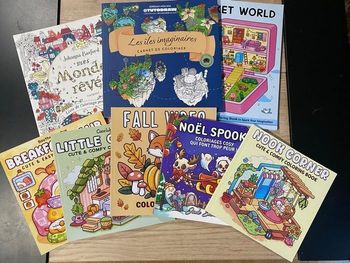 Lot d’albums de coloriage 