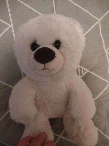 Petit ours blanc peluche gipsy